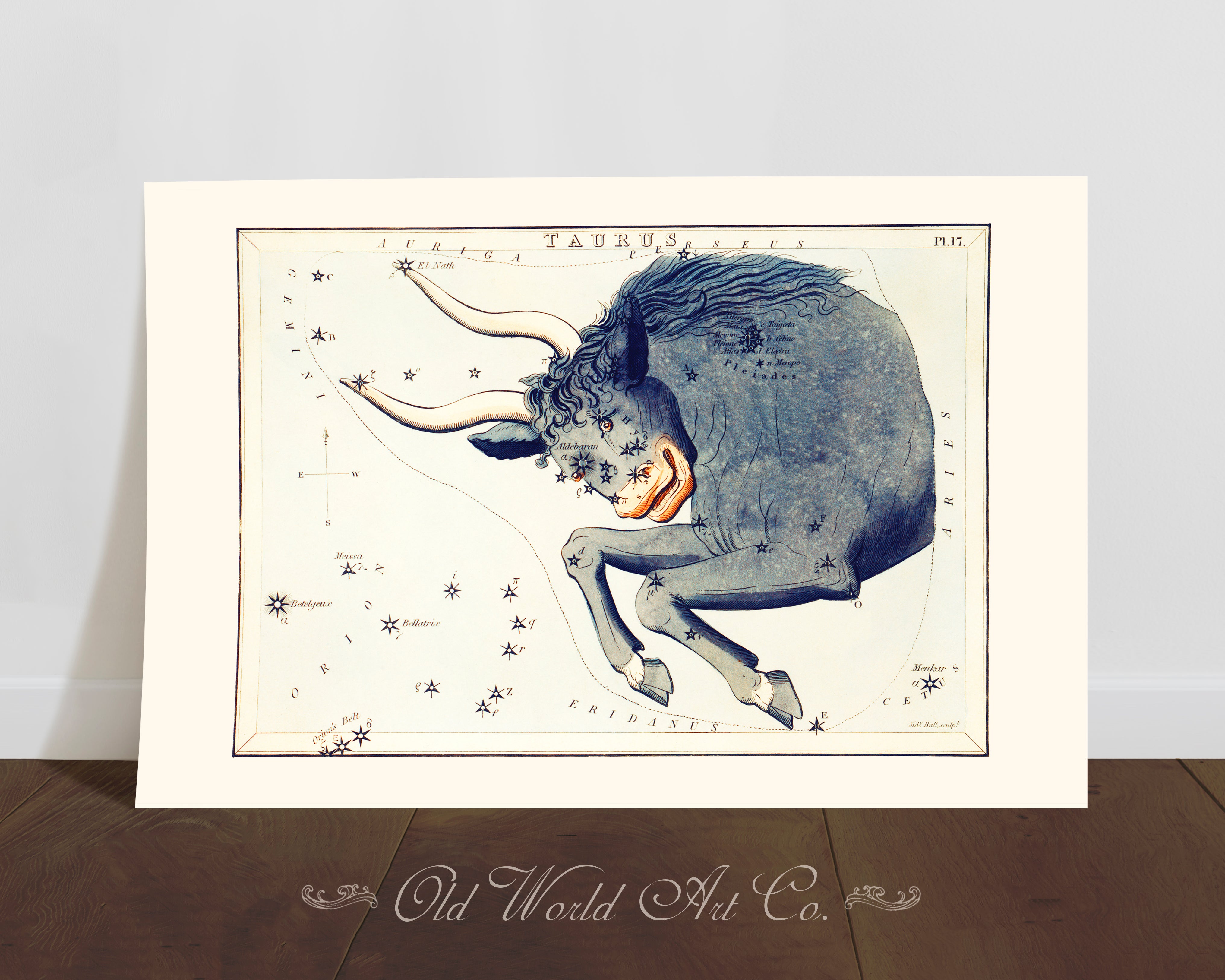 Taurus Zodiac Chart Print