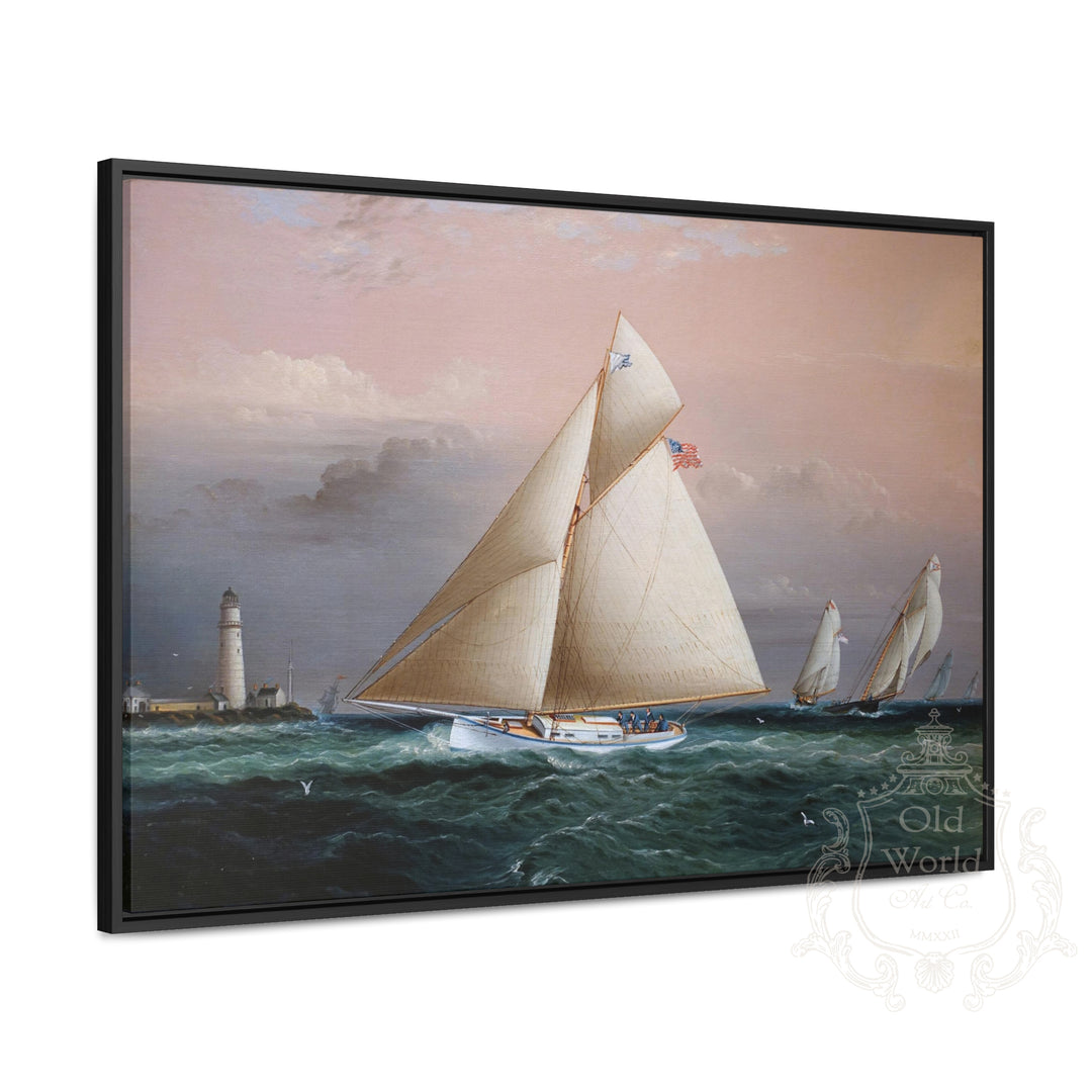 Yacht Race Off Boston Light Framed Canvas