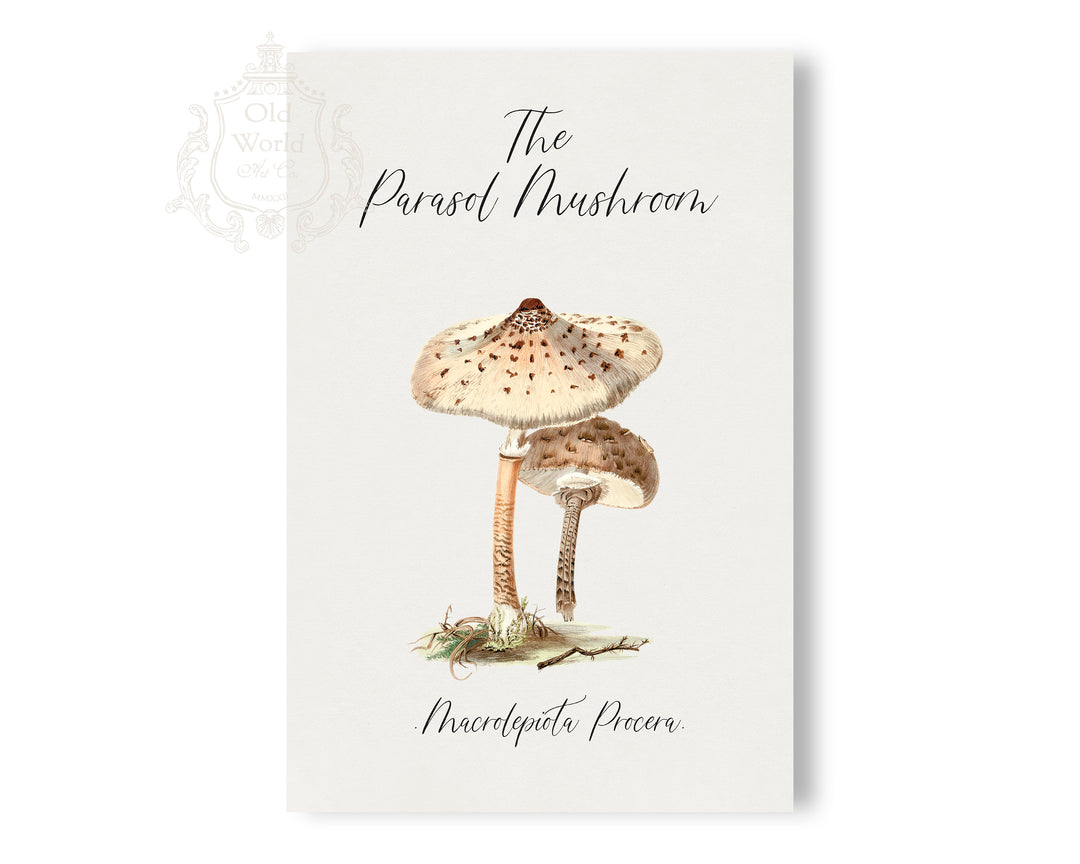 Parasol Mushroom Print