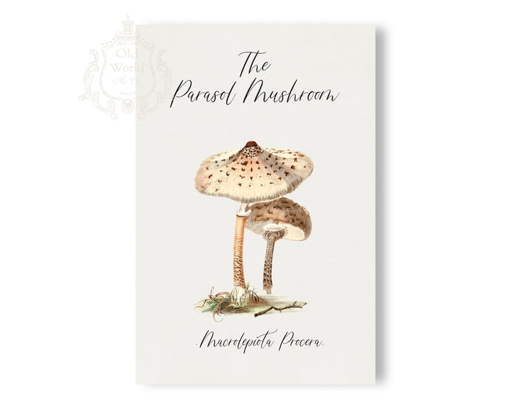 Parasol Mushroom Print