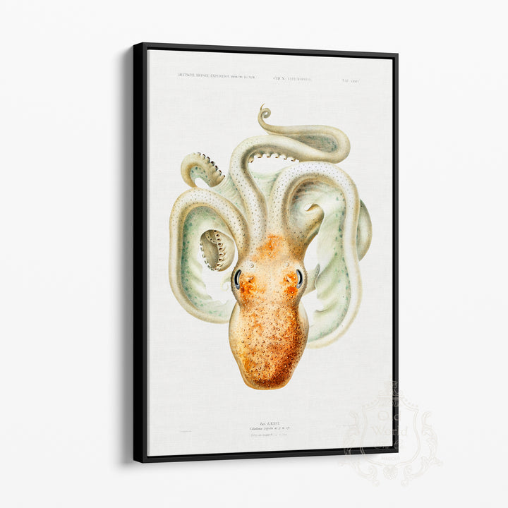 Velodona Octopus Framed Canvas