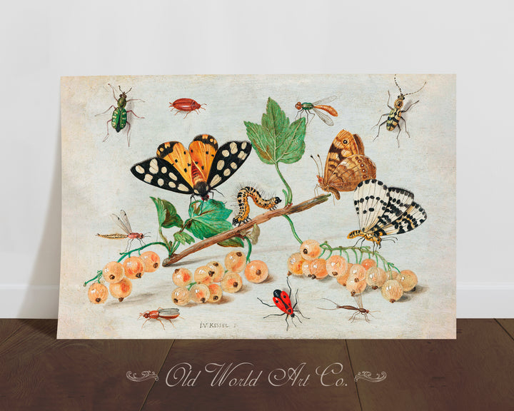 Insects & Fruit Print