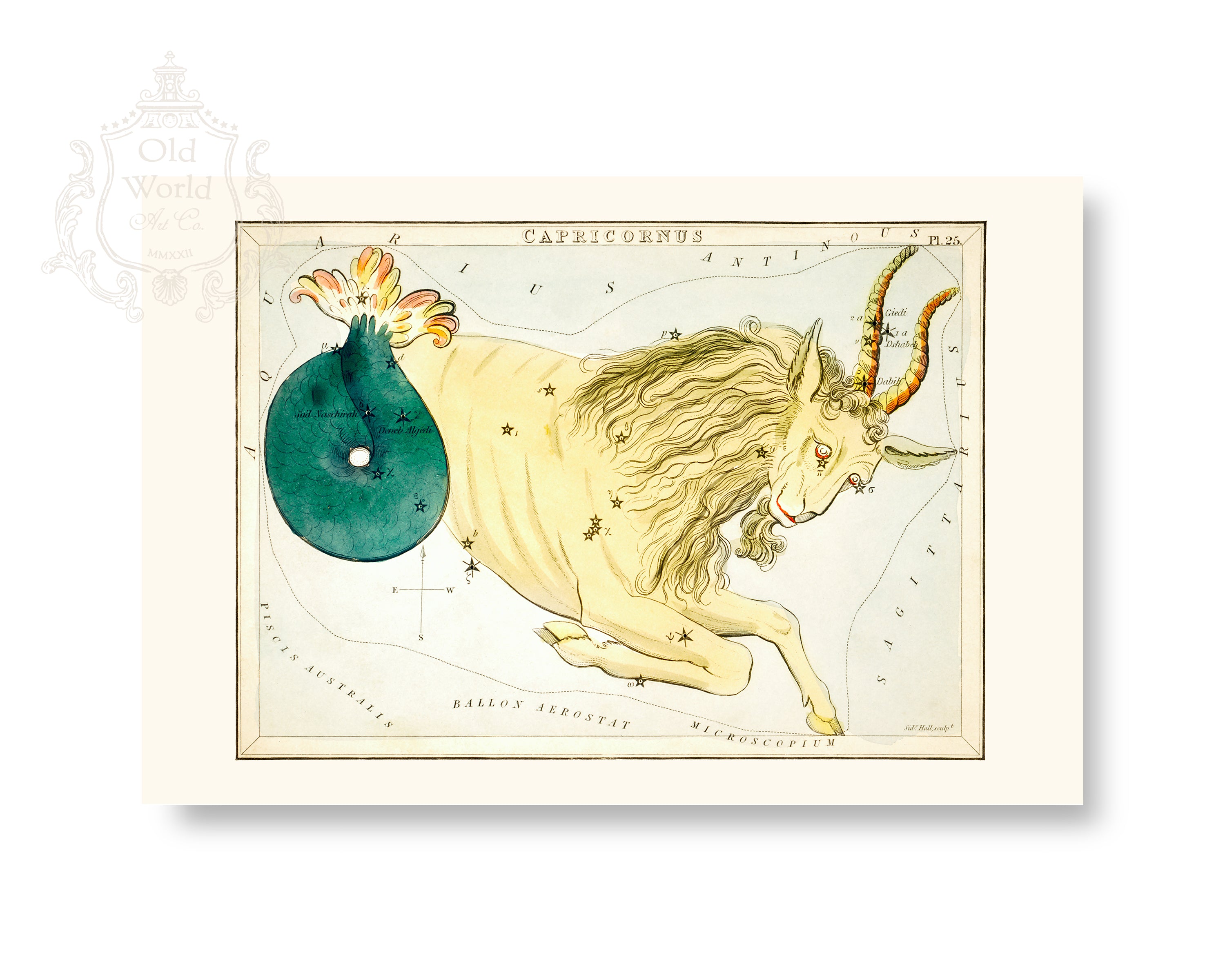 Capricorn Zodiac Chart Print