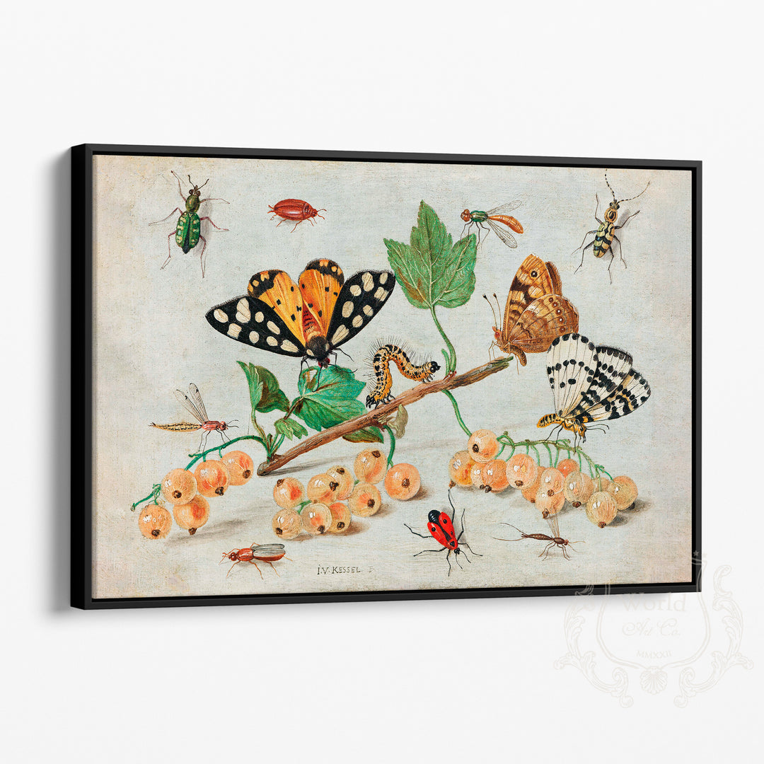 Insects & Fruit Framed Canvas