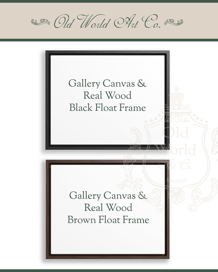 a picture frame with the words gallery canvass and real wood black float frame