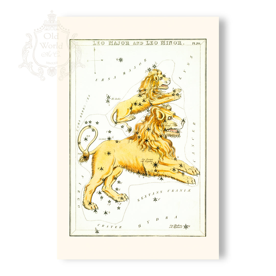 Leo Zodiac Chart Print