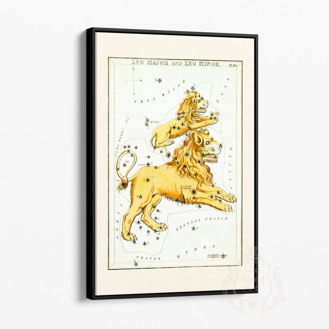 Leo Zodiac Chart Framed Canvas