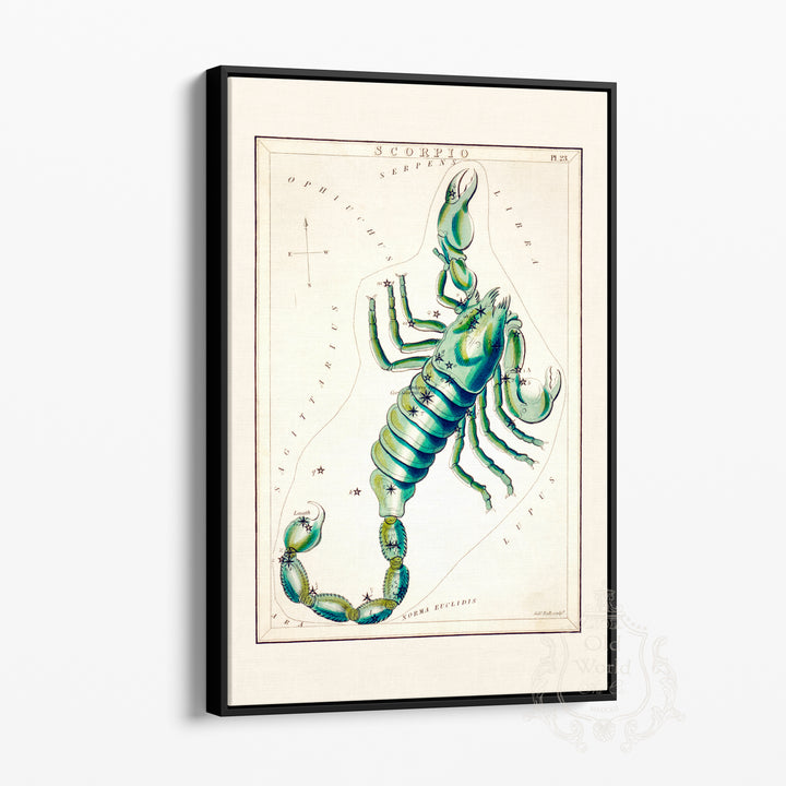 Scorpio Zodiac Chart Framed Canvas
