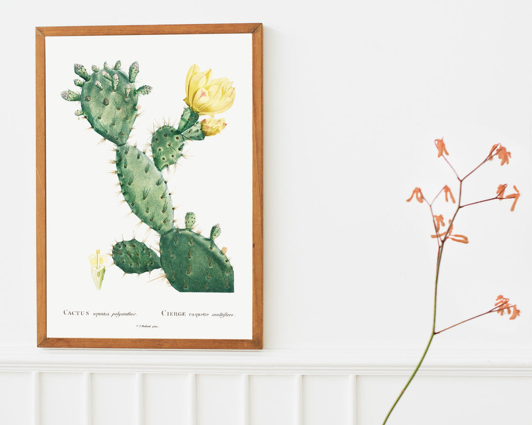 Opuntia Polyanthos Cactus Print